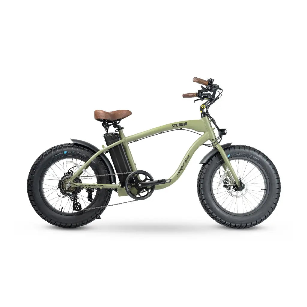 Custom electric bike sale