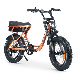 AMPD Brothers Electric Bike Ace-S Plus+ Fat Tyre E-Bike