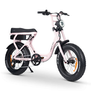 AMPD Brothers ACE-S Electric Bike