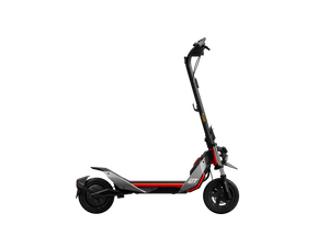 Segway Ninebot ZT3 Pro D